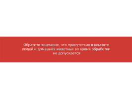 Лампа бактерицидная ультрафиолетовая Rombica Sterilizer Z2, черный